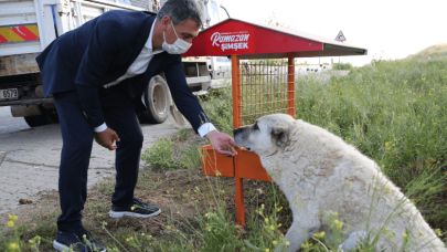 Başkan Şimşek: Can dostlarımıza yapılan bu vahşet kabul edilemez