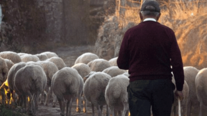 Hükümetten köye dönenlere büyük teşvik!