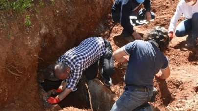 Sulama kanalı kazısında ortaya çıktı! Görenler şaşırdı