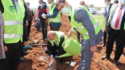 Altunok, “Lavantaları toprakla buluşturuyoruz”