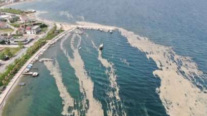 İzmit Körfezi'nde deniz salyası istilası sürüyor