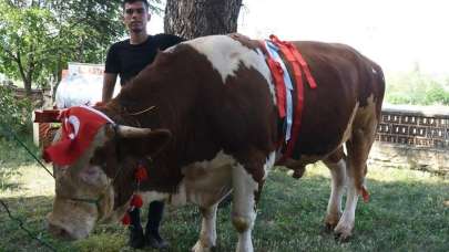 Görenler bir daha bakıyor! Araba fiyatına satışa çıkarıldı