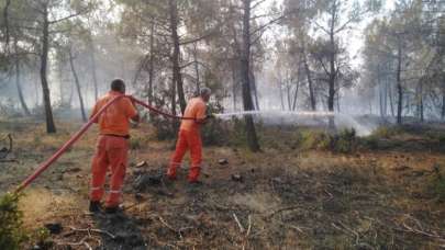 Kilis'te orman yangınına müdahale ediliyor