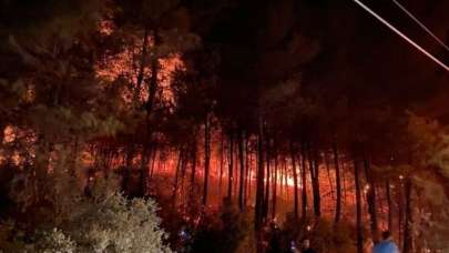 Kırıkhan ve Fethiye'de çıkan yangın kontrol altına alındı