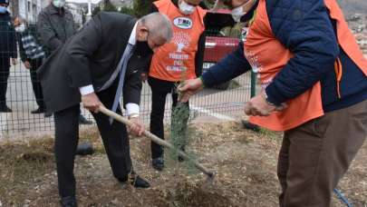 Başkan Sarı’dan yanan ormanlara 10 bin fidan desteği