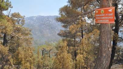 Muğla'da ormanlık alanlara girişler yasaklandı