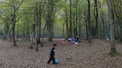 İstanbul'da ormanlara girme ve piknik yapma yasağı uzatıldı