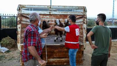 Türk Kızılay'dan Manavgat'ta küçükbaş hayvan yardımı