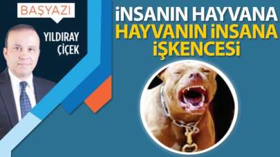 İnsanın hayvana, hayvanın insana işkencesi