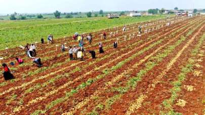 Müjde geldi! Fiyatlar tepetaklak düşecek