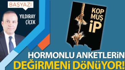 Hormonlu anketlerin değirmeni dönüyor!