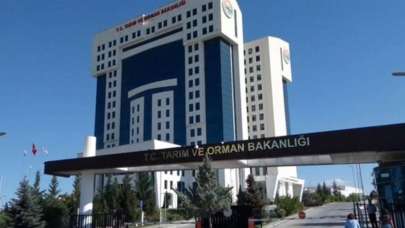 Tarım ve Orman Bakanlığı 1 Sürekli İşçi alıyor