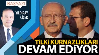 Tilki kurnazlıkları devam ediyor