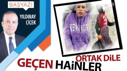 Ortak dile geçen hainler