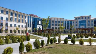 Niğde Ömer Halisdemir Üniversitesi Araştırma Görevlisi alcak