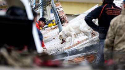 Arama kurtarma köpekleri enkaz altındaki yüzlerce cana umut oldu