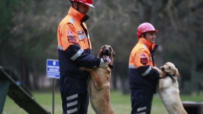 TSK’nın arama köpekleri enkazdan 78 kişiyi kurtardı