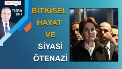 Bitkisel hayat ve siyasi ötenazi