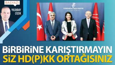 Birbirine karıştırmayın! Siz HD(P)KK ortağısınız