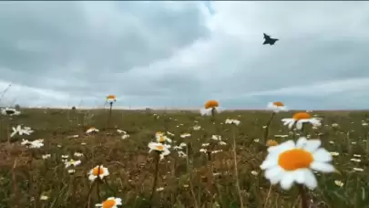 Selçuk Bayraktar, Kızılelma'nın yeni görüntülerini paylaştı