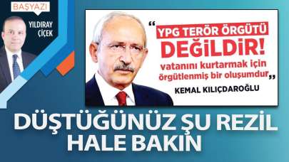 Düştüğünüz şu rezil hale bakın