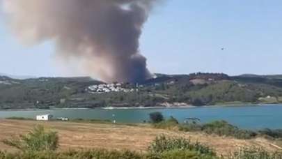 Adana'da ormanlık alanda yangın