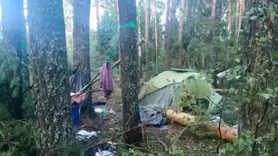 El değmemiş sahilde felaket! Dünya can çekişiyor, can kaybı 60'ı aştı