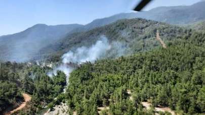 Muğla'da orman yangını