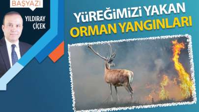 Yüreğimizi yakan orman yangınları