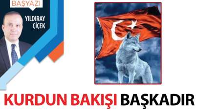 Kurdun bakışı başkadır