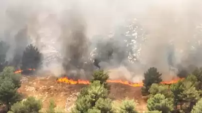 ''Yakın'' talimatı TikTok'tan! Hainlik böyle deşifre oldu