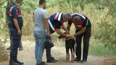 Korhan Berzeg sır oldu! Kaybolduktan 74 gün sonra eve dönen Tina'nın tahlil sonuçları belli oldu