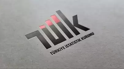 TÜİK sektör bilançolarını açıkladı: Türkiye'deki toplam firma büyüklüğü 26,4 trilyon