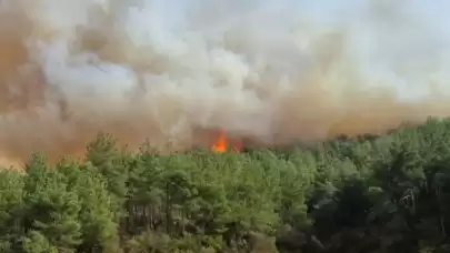 Çanakkale'de orman yangını: 1 köy boşaltıldı