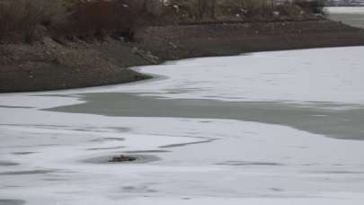 Hava sıcaklığı sıfırın altında 10 dereceye düştü, gölet buz tuttu