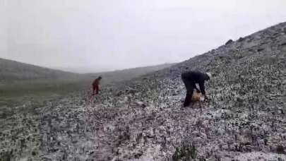 Tunceli’de mayısın ortasında kar yağdı