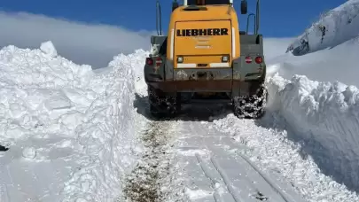 Kar kalınlığı 1 metreye ulaştı; ekipler çalışma başlattı