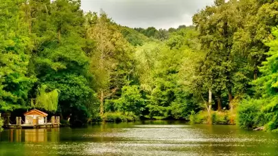 Atatürk Arboretumu Giriş Ücreti (2024) Atatürk Arboretumu'na nasıl gidilir?