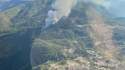 Muğla'da orman yangını: Ekipler müdahale ediyor