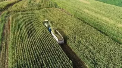 Tarımsal destekleme ödemeleri hesaplara yatıyor!