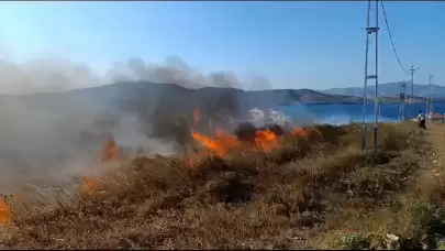 Avşa'da yürekler ağıza geldi