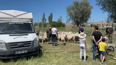 Kurbanlıkların satışından elde ettiği 535 bin TL çalındı