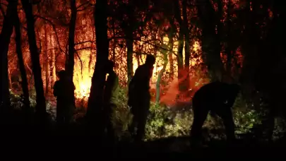 Bakanlık'tan Kuşadası'na sıçrayan yangınla ilgili açıklama