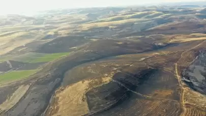 Diyarbakır'da yangının boyutu ortaya çıktı