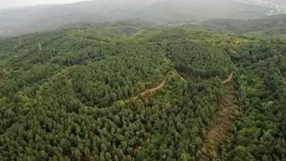 Bolu'da ormanlara girişler 30 Eylül'e kadar yasaklandı