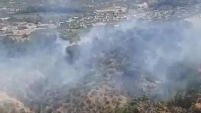 İzmir'deki orman yangınına müdahale ediliyor