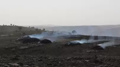 Diyarbakır ve Mardin arasında yangın! Soruşturma başlatıldı