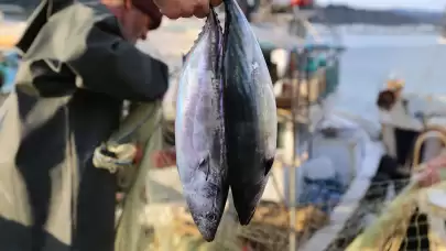 Karadeniz'de balıkçılar, bol balık sezonu için umutlu