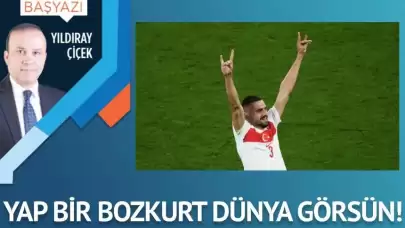 Yap bir bozkurt dünya görsün!