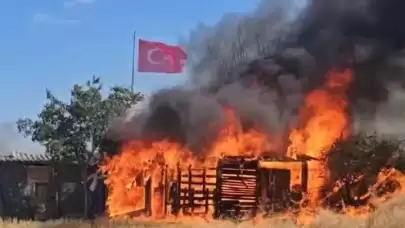 Edirne'de hasat edilmiş buğday tarlası ve ağıl alevlere teslim oldu